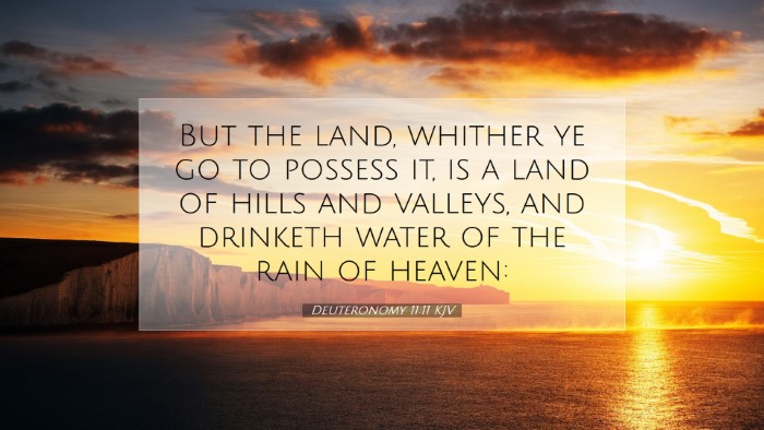Picture 07 - Deuteronomy 11:11 KJV Desktop Wallpaper - But the land, whither ye go to possess it, is a - Desktop Bible Verse Wallpaper