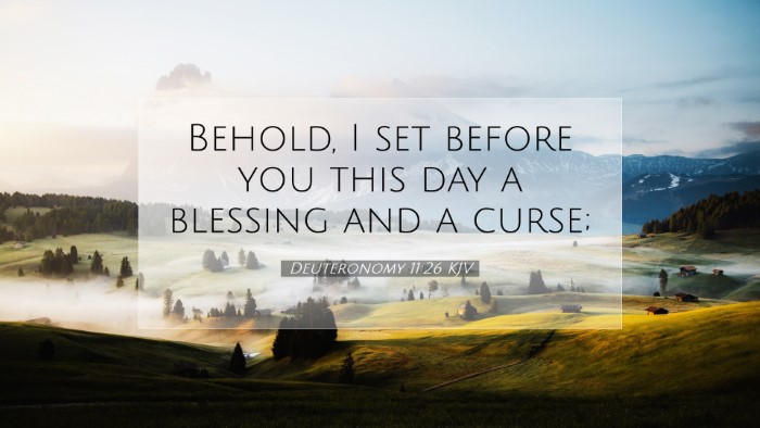 Picture 07 - Deuteronomy 11:26 KJV Desktop Wallpaper - Behold, I set before you this day a blessing and - Desktop Bible Verse Wallpaper