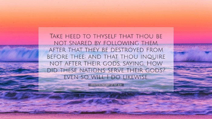 Picture 07 - Deuteronomy 12:30 KJV Desktop Wallpaper - Take heed to thyself that thou be not snared by - Desktop Bible Verse Wallpaper