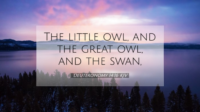 Picture 07 - Deuteronomy 14:16 KJV Desktop Wallpaper - The little owl, and the great owl, and the - Desktop Bible Verse Wallpaper