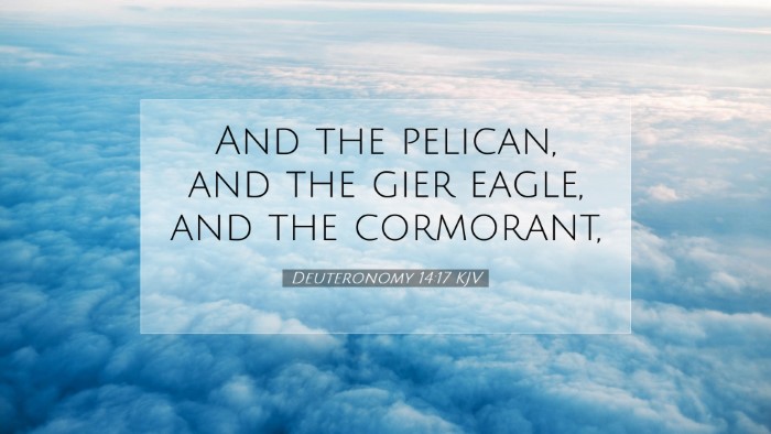 Picture 07 - Deuteronomy 14:17 KJV Desktop Wallpaper - And the pelican, and the gier eagle, and the - Desktop Bible Verse Wallpaper