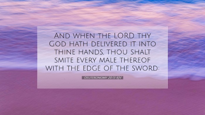 Picture 07 - Deuteronomy 20:13 KJV Desktop Wallpaper - And when the LORD thy God hath delivered it into - Desktop Bible Verse Wallpaper
