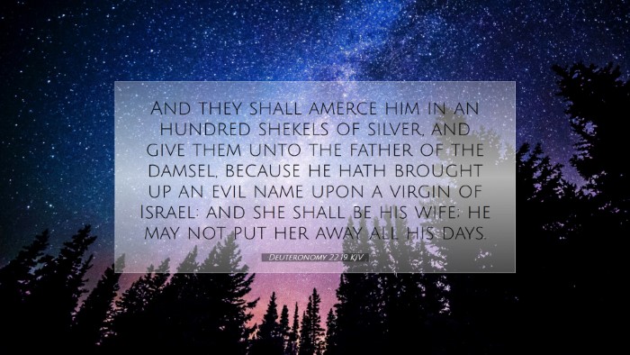 Picture 07 - Deuteronomy 22:19 KJV Desktop Wallpaper - And they shall amerce him in an hundred shekels - Desktop Bible Verse Wallpaper