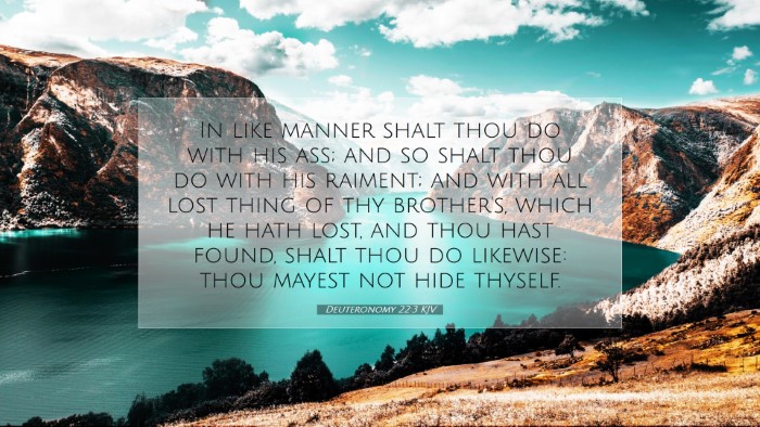 Picture 07 - Deuteronomy 22:3 KJV Desktop Wallpaper - In like manner shalt thou do with his ass; and so - Desktop Bible Verse Wallpaper