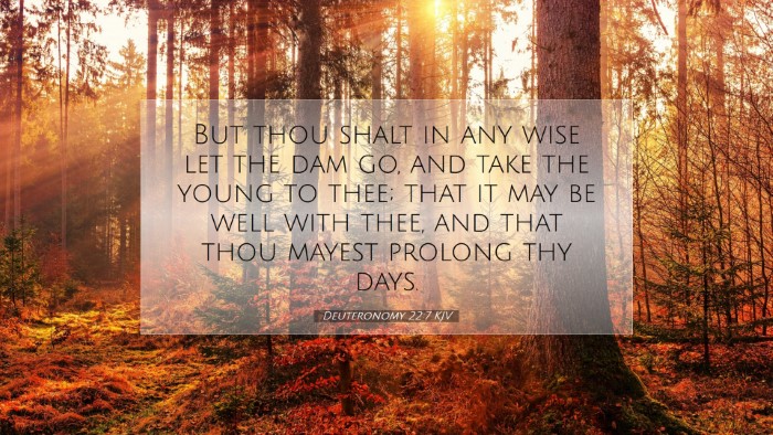 Picture 07 - Deuteronomy 22:7 KJV Desktop Wallpaper - But thou shalt in any wise let the dam go, and - Desktop Bible Verse Wallpaper