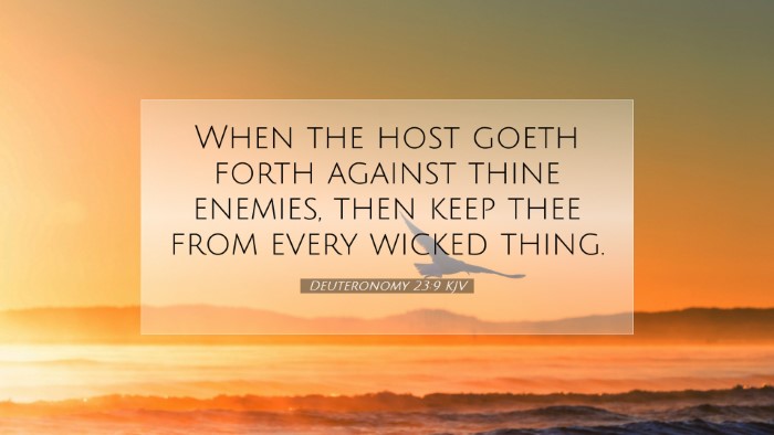 Picture 07 - Deuteronomy 23:9 KJV Desktop Wallpaper - When the host goeth forth against thine enemies, - Desktop Bible Verse Wallpaper
