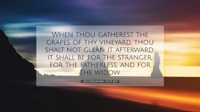 Picture 07 - Deuteronomy 24:21 KJV Desktop Wallpaper - When thou gatherest the grapes of thy vineyard, - Desktop Bible Verse Wallpaper