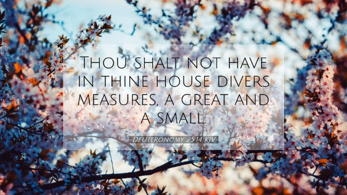 Picture 07 - Deuteronomy 25:14 KJV Desktop Wallpaper - Thou shalt not have in thine house divers - Desktop Bible Verse Wallpaper