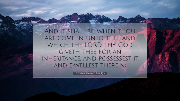 Picture 07 - Deuteronomy 26:1 KJV Desktop Wallpaper - And it shall be, when thou art come in unto the - Desktop Bible Verse Wallpaper