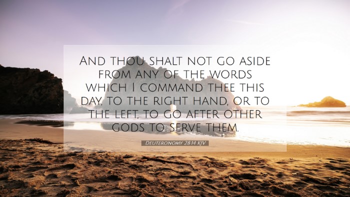 Picture 07 - Deuteronomy 28:14 KJV Desktop Wallpaper - And thou shalt not go aside from any of the words - Desktop Bible Verse Wallpaper