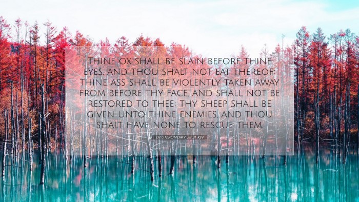 Picture 07 - Deuteronomy 28:31 KJV Desktop Wallpaper - Thine ox shall be slain before thine eyes, and - Desktop Bible Verse Wallpaper
