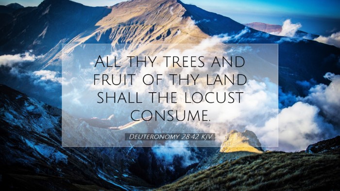 Picture 07 - Deuteronomy 28:42 KJV Desktop Wallpaper - All thy trees and fruit of thy land shall the - Desktop Bible Verse Wallpaper