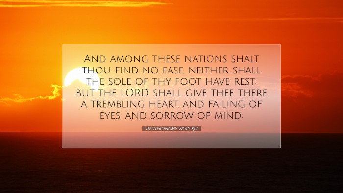 Picture 07 - Deuteronomy 28:65 KJV Desktop Wallpaper - And among these nations shalt thou find no ease, - Desktop Bible Verse Wallpaper