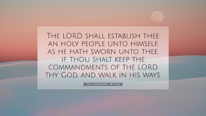 Picture 07 - Deuteronomy 28:9 KJV Desktop Wallpaper - The LORD shall establish thee an holy people unto - Desktop Bible Verse Wallpaper