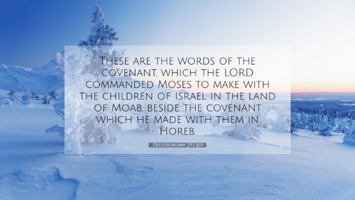 Picture 07 - Deuteronomy 29:1 KJV Desktop Wallpaper - These are the words of the covenant, which the - Desktop Bible Verse Wallpaper