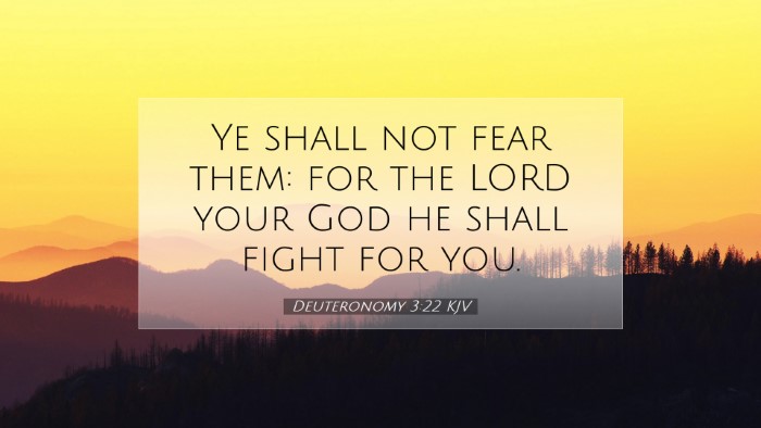 Picture 07 - Deuteronomy 3:22 KJV Desktop Wallpaper - Ye shall not fear them: for the LORD your God he - Desktop Bible Verse Wallpaper