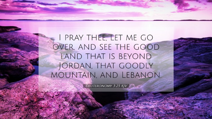 Picture 07 - Deuteronomy 3:25 KJV Desktop Wallpaper - I pray thee, let me go over, and see the good - Desktop Bible Verse Wallpaper
