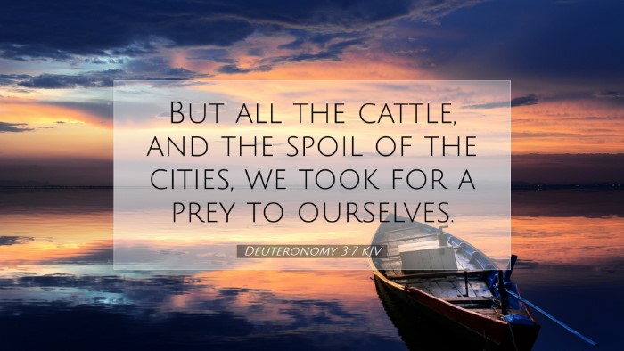 Picture 07 - Deuteronomy 3:7 KJV Desktop Wallpaper - But all the cattle, and the spoil of the cities, - Desktop Bible Verse Wallpaper