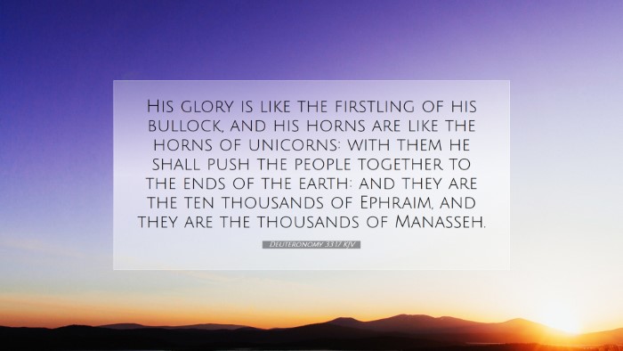 Picture 07 - Deuteronomy 33:17 KJV Desktop Wallpaper - His glory is like the firstling of his bullock, - Desktop Bible Verse Wallpaper