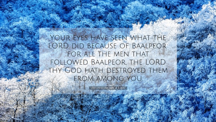 Picture 07 - Deuteronomy 4:3 KJV Desktop Wallpaper - Your eyes have seen what the LORD did because of - Desktop Bible Verse Wallpaper