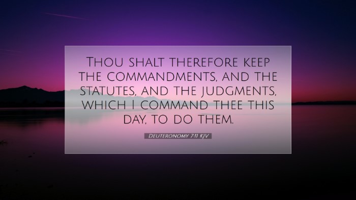 Picture 07 - Deuteronomy 7:11 KJV Desktop Wallpaper - Thou shalt therefore keep the commandments, and - Desktop Bible Verse Wallpaper