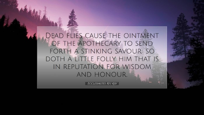Picture 07 - Ecclesiastes 10:1 KJV Desktop Wallpaper - Dead flies cause the ointment of the apothecary - Desktop Bible Verse Wallpaper