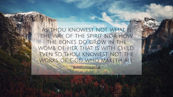 Picture 07 - Ecclesiastes 11:5 KJV Desktop Wallpaper - As thou knowest not what is the way of the - Desktop Bible Verse Wallpaper