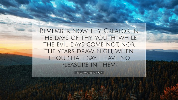 Picture 07 - Ecclesiastes 12:1 KJV Desktop Wallpaper - Remember now thy Creator in the days of thy - Desktop Bible Verse Wallpaper
