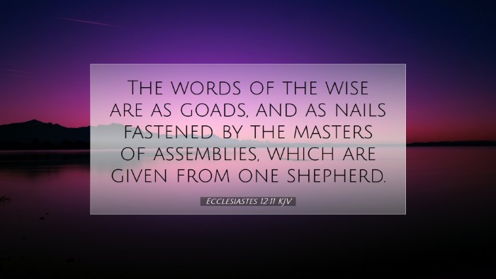 Picture 07 - Ecclesiastes 12:11 KJV Desktop Wallpaper - The words of the wise are as goads, and as nails - Desktop Bible Verse Wallpaper