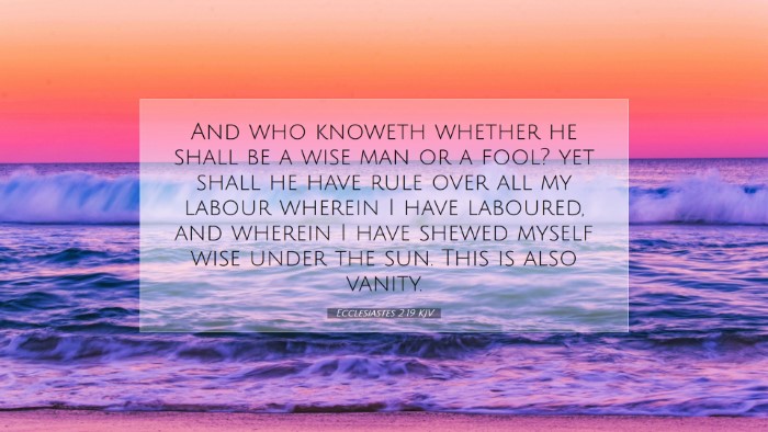Picture 07 - Ecclesiastes 2:19 KJV Desktop Wallpaper - And who knoweth whether he shall be a wise man or - Desktop Bible Verse Wallpaper