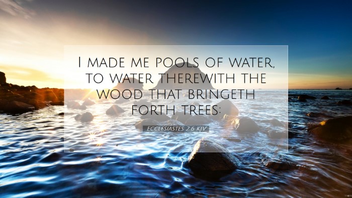 Picture 07 - Ecclesiastes 2:6 KJV Desktop Wallpaper - I made me pools of water, to water therewith the - Desktop Bible Verse Wallpaper