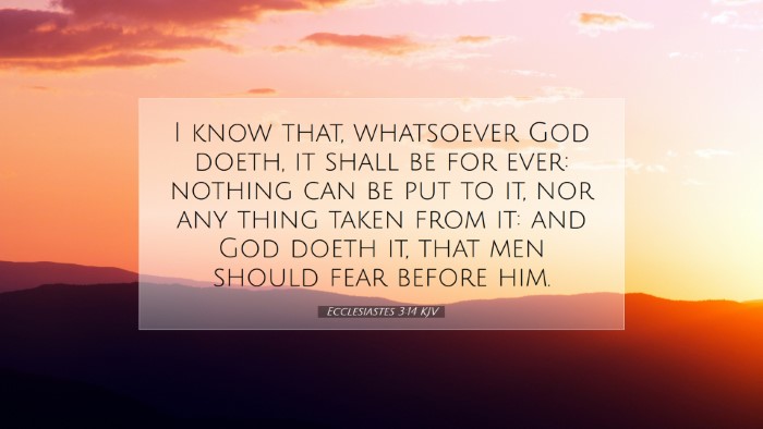 Picture 07 - Ecclesiastes 3:14 KJV Desktop Wallpaper - I know that, whatsoever God doeth, it shall be - Desktop Bible Verse Wallpaper