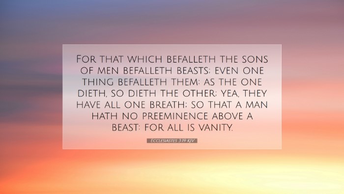 Picture 07 - Ecclesiastes 3:19 KJV Desktop Wallpaper - For that which befalleth the sons of men - Desktop Bible Verse Wallpaper