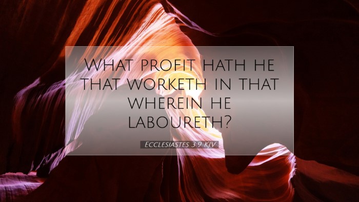 Picture 07 - Ecclesiastes 3:9 KJV Desktop Wallpaper - What profit hath he that worketh in that wherein - Desktop Bible Verse Wallpaper