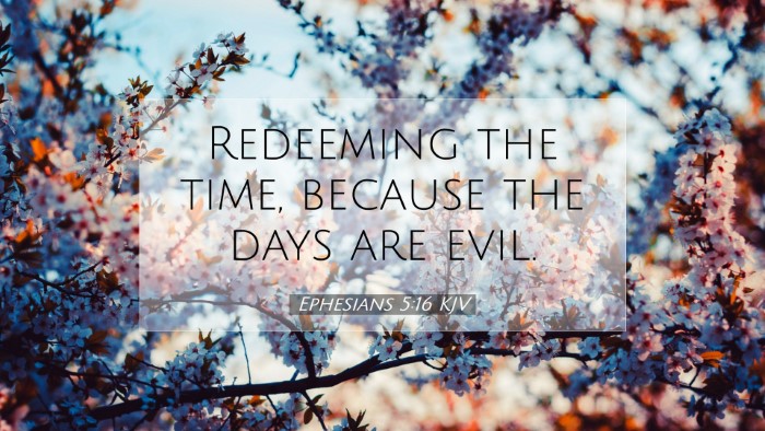 Picture 07 - Ephesians 5:16 KJV Desktop Wallpaper - Redeeming the time, because the days are - Desktop Bible Verse Wallpaper