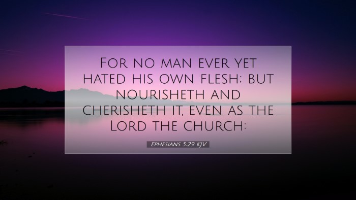 Picture 07 - Ephesians 5:29 KJV Desktop Wallpaper - For no man ever yet hated his own flesh; but - Desktop Bible Verse Wallpaper