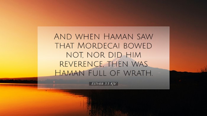 Picture 07 - Esther 3:5 KJV Desktop Wallpaper - And when Haman saw that Mordecai bowed not, nor - Desktop Bible Verse Wallpaper