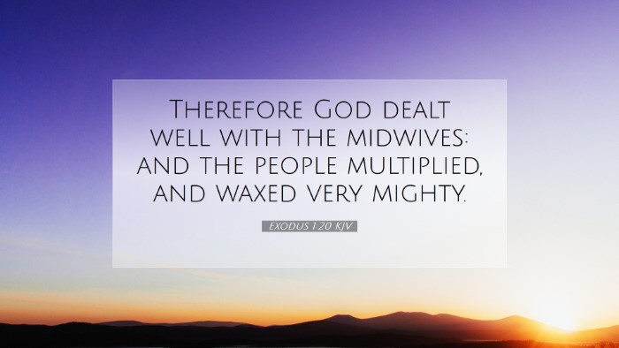 Picture 07 - Exodus 1:20 KJV Desktop Wallpaper - Therefore God dealt well with the midwives: and - Desktop Bible Verse Wallpaper