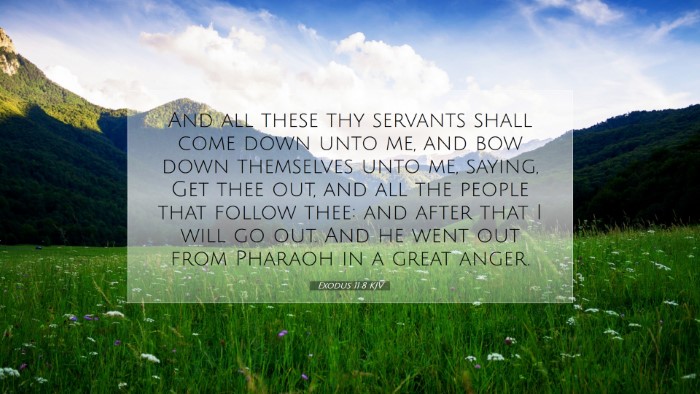 Picture 07 - Exodus 11:8 KJV Desktop Wallpaper - And all these thy servants shall come down unto - Desktop Bible Verse Wallpaper