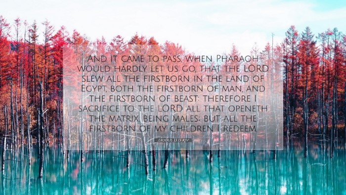 Picture 07 - Exodus 13:15 KJV Desktop Wallpaper - And it came to pass, when Pharaoh would hardly - Desktop Bible Verse Wallpaper