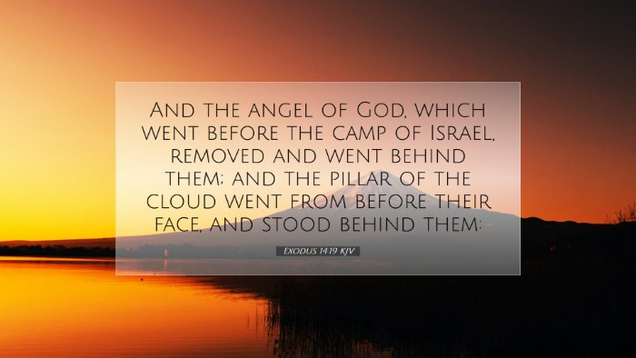 Picture 07 - Exodus 14:19 KJV Desktop Wallpaper - And the angel of God, which went before the camp - Desktop Bible Verse Wallpaper