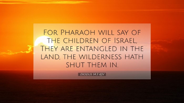 Picture 07 - Exodus 14:3 KJV Desktop Wallpaper - For Pharaoh will say of the children of Israel, - Desktop Bible Verse Wallpaper