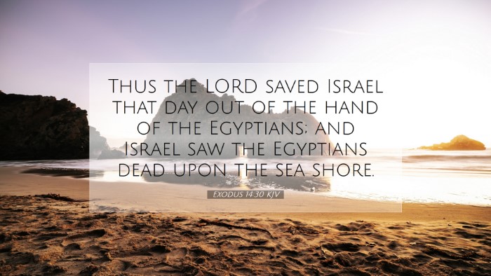 Picture 07 - Exodus 14:30 KJV Desktop Wallpaper - Thus the LORD saved Israel that day out of the - Desktop Bible Verse Wallpaper