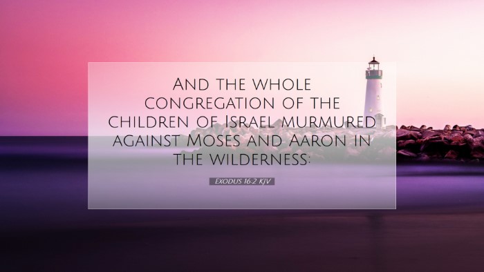 Picture 07 - Exodus 16:2 KJV Desktop Wallpaper - And the whole congregation of the children of - Desktop Bible Verse Wallpaper