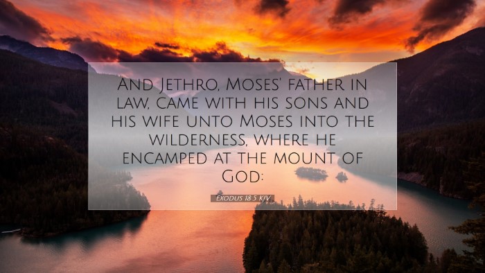 Picture 07 - Exodus 18:5 KJV Desktop Wallpaper - And Jethro, Moses' father in law, came with his - Desktop Bible Verse Wallpaper