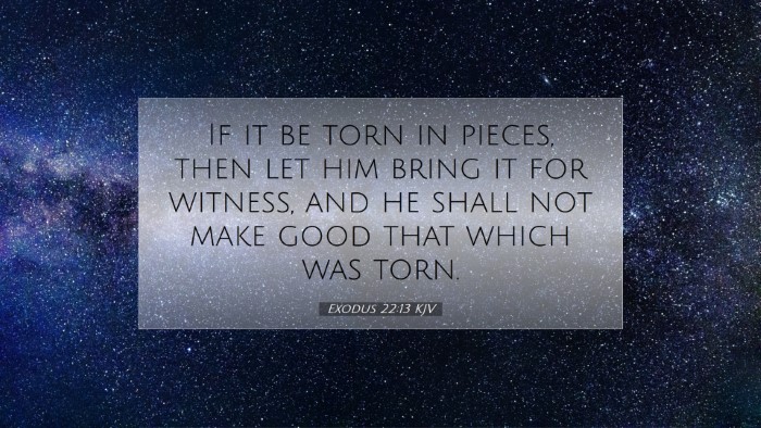Picture 07 - Exodus 22:13 KJV Desktop Wallpaper - If it be torn in pieces, then let him bring it - Desktop Bible Verse Wallpaper