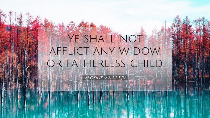 Picture 07 - Exodus 22:22 KJV Desktop Wallpaper - Ye shall not afflict any widow, or fatherless - Desktop Bible Verse Wallpaper