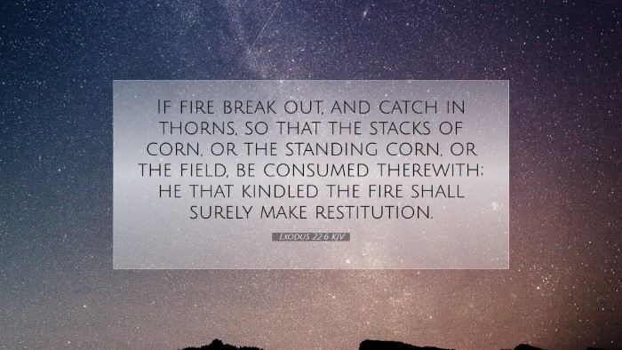 Picture 07 - Exodus 22:6 KJV Desktop Wallpaper - If fire break out, and catch in thorns, so that - Desktop Bible Verse Wallpaper