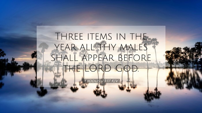 Picture 07 - Exodus 23:17 KJV Desktop Wallpaper - Three items in the year all thy males shall - Desktop Bible Verse Wallpaper