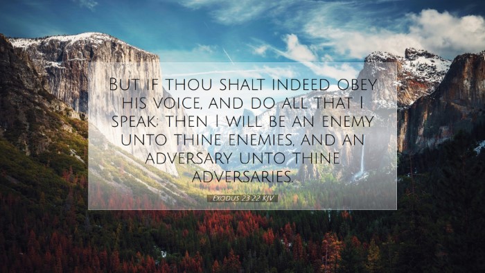 Picture 07 - Exodus 23:22 KJV Desktop Wallpaper - But if thou shalt indeed obey his voice, and do - Desktop Bible Verse Wallpaper